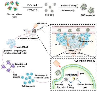 Biomedical applications of iron sulfide-based nanozymes